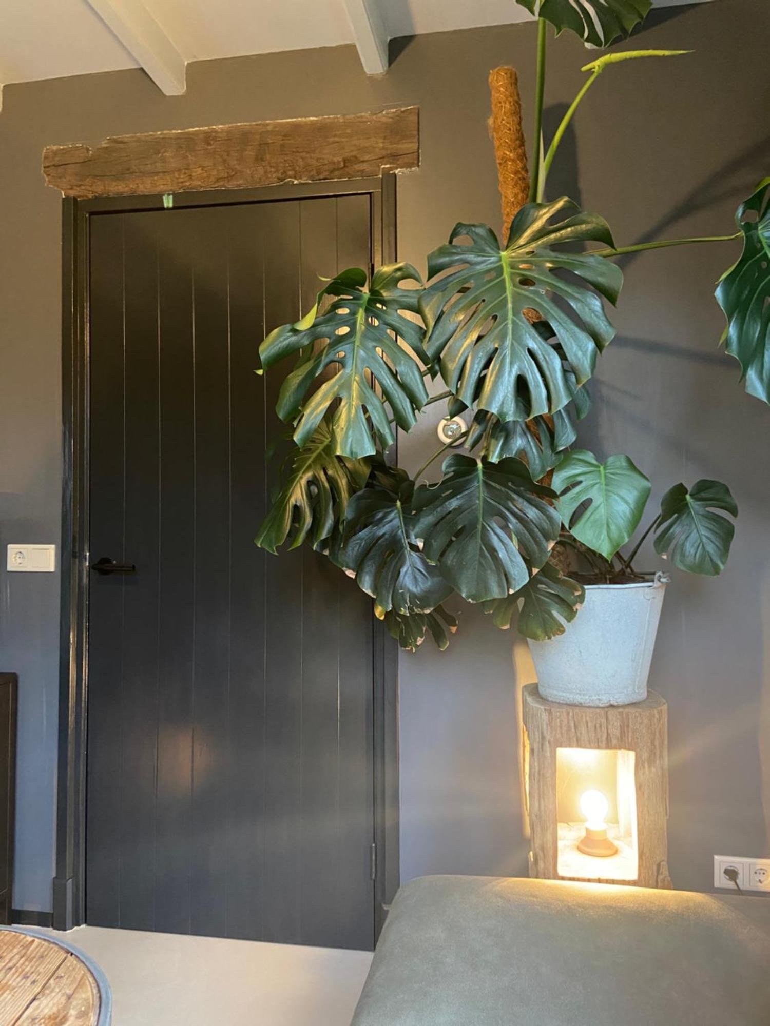 Vakantiehuis Hof Molenzicht 东卡佩勒 外观 照片